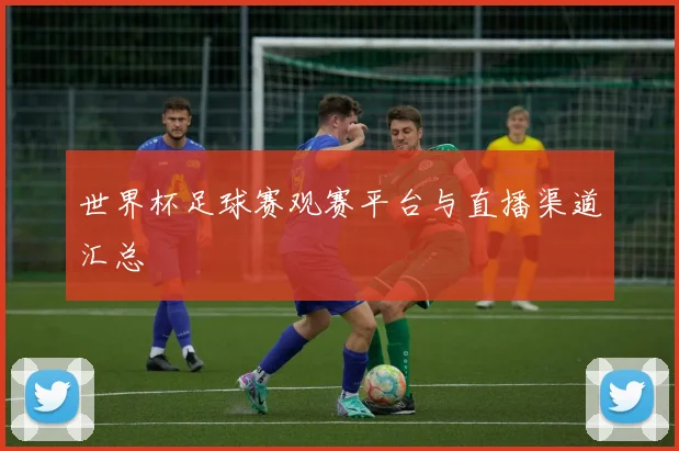 世界杯足球赛观赛平台与直播渠道汇总