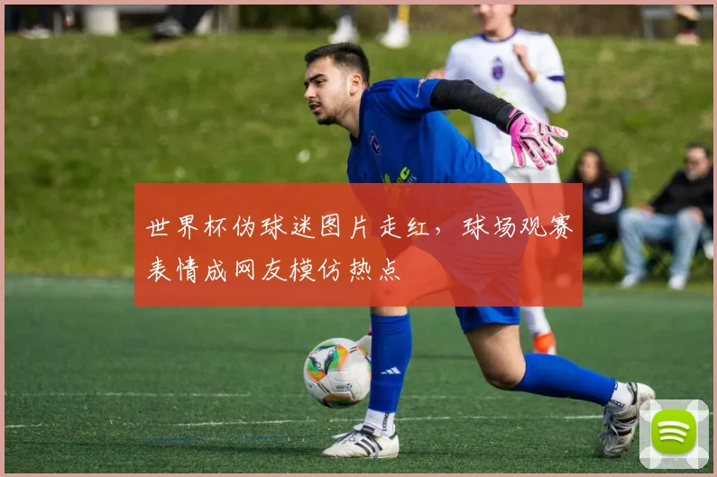 世界杯伪球迷图片走红，球场观赛表情成网友模仿热点