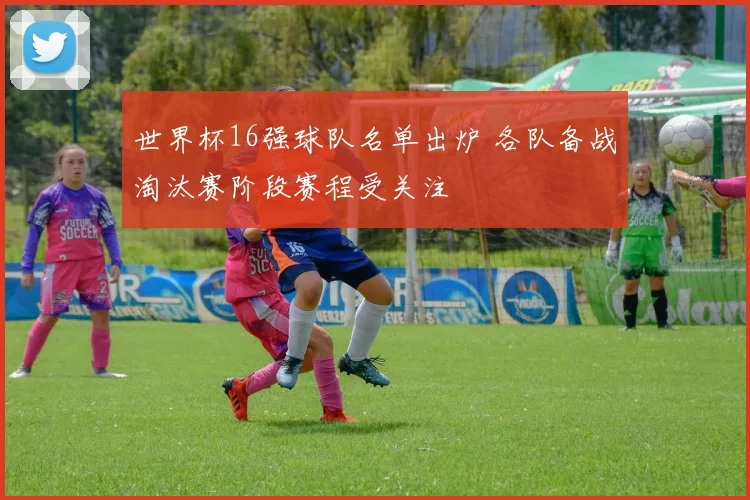 世界杯16强球队名单出炉 各队备战淘汰赛阶段赛程受关注