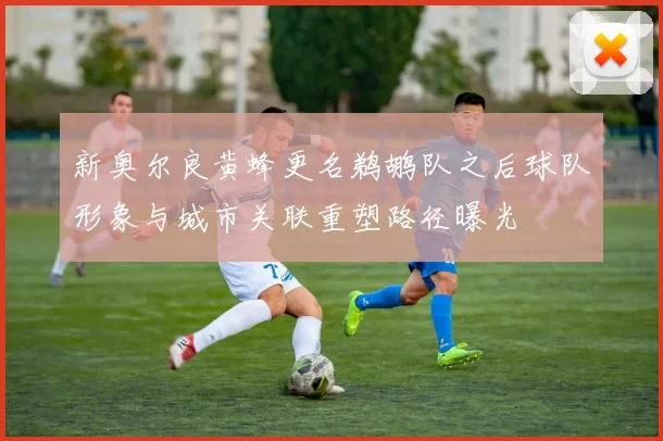 新奥尔良黄蜂更名鹈鹕队之后球队形象与城市关联重塑路径曝光