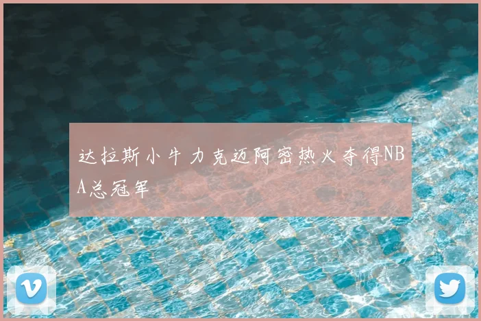 达拉斯小牛力克迈阿密热火夺得NBA总冠军