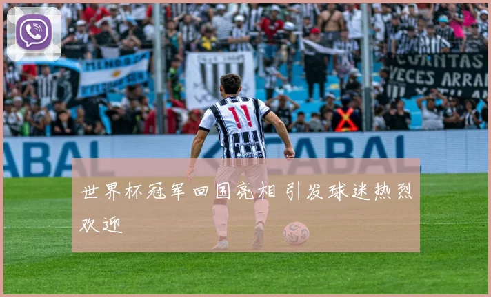 世界杯冠军回国亮相 引发球迷热烈欢迎