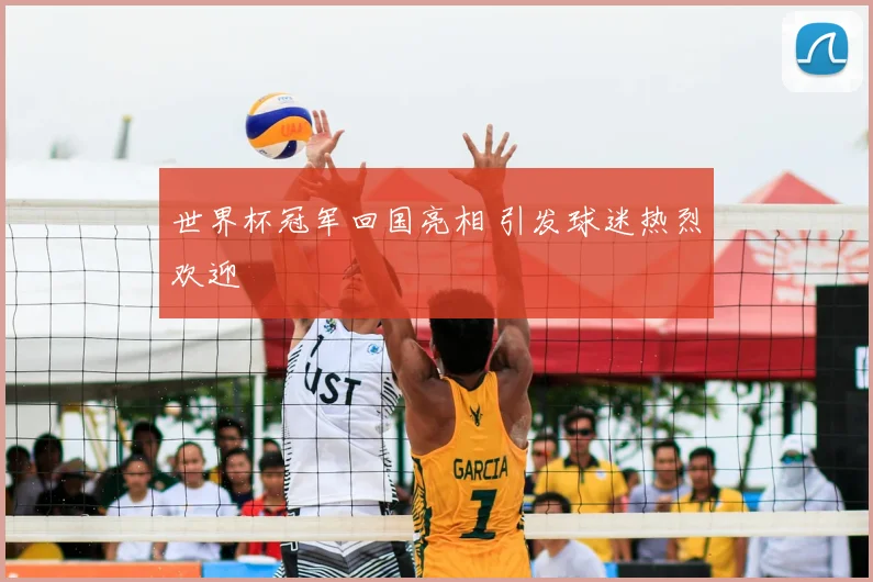 世界杯冠军回国亮相 引发球迷热烈欢迎